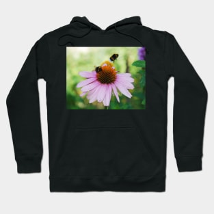 Echinacea Purpurea with Bees Hoodie